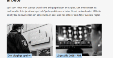 Spel utan licens är olagligt i Sverige